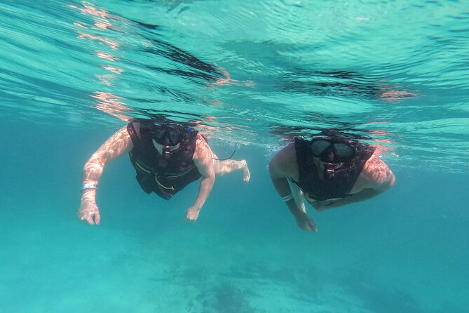 3 in 1 Private Tour Tulum Cenote and Snorkeling in the Reef - Booking Information