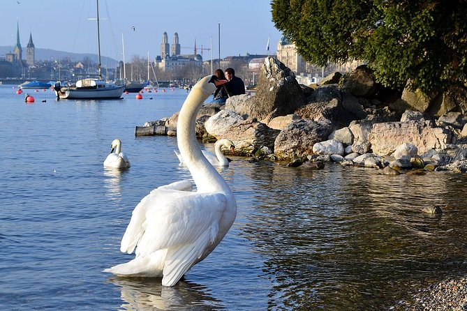3 in 1: Zurich Walking Tour - Cruise on the Lake - Cable Car Ride to Felsenegg - Common Questions