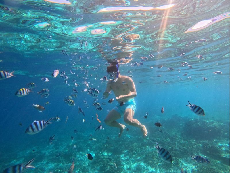 3-Island Hopping Day Tour with Lunch on Cebu Island - What to know before you book