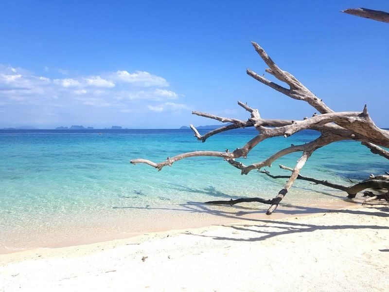 3 Island One Day Tour With Lunch from Trang - Koh Waen and Koh Chueak: two reef stops