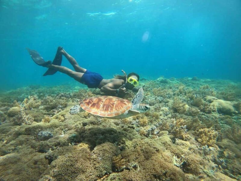 3-Island Snorkeling Trip with Sea Turtles & Statues - Good To Know