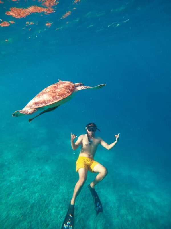 3-Island Snorkeling Trip with Sea Turtles & Statues - Who Will Love This Tour?