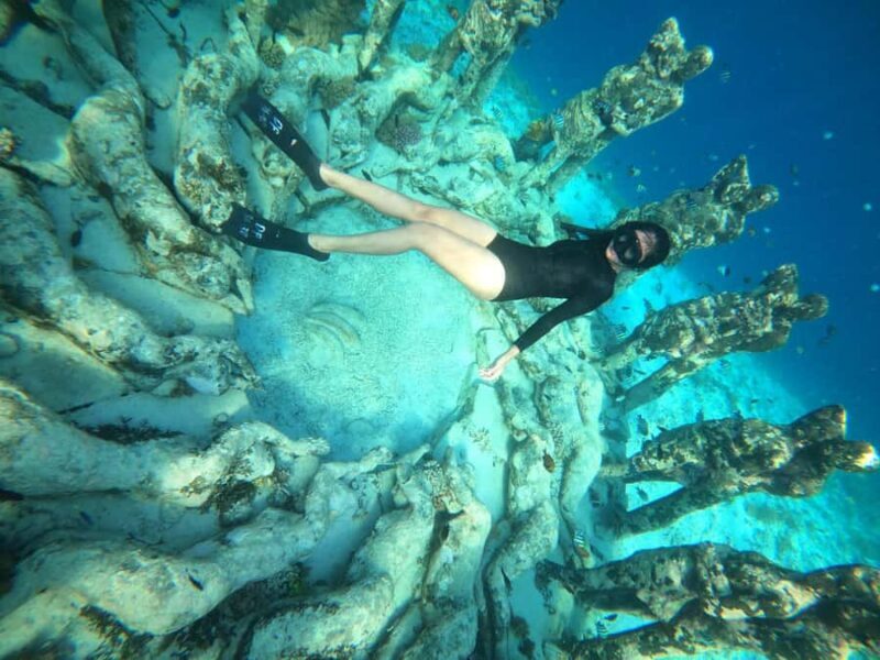 3-Island Snorkeling Trip with Sea Turtles & Statues - Why This Tour Works Well
