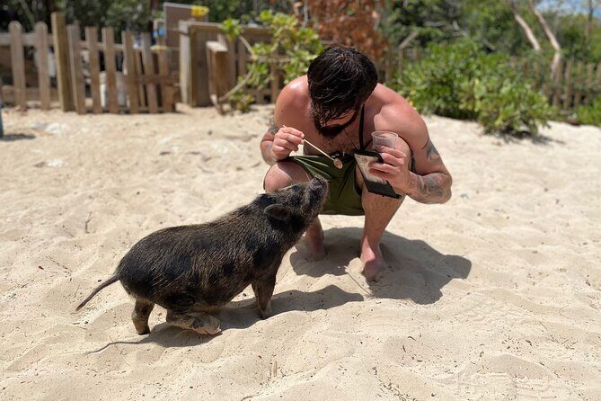 3 Islands Private Group Excursion (4hrs) - What Travelers Love About This Tour