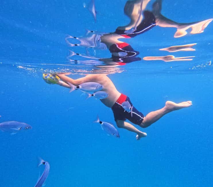 3 Islands Speedboat Tour: Golden Horn, Blue Lagoon & Jelsa - Who Should Consider This Tour?