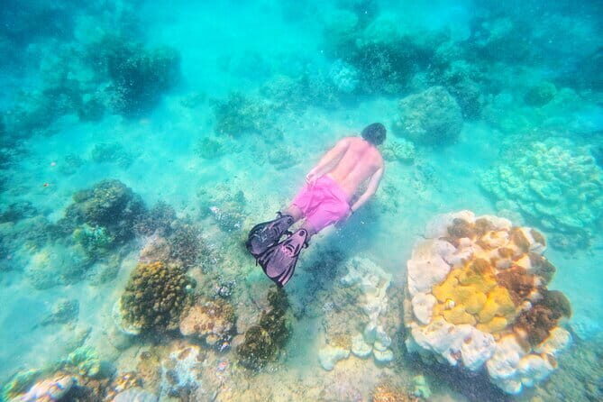 3 Khai Islands Tour- Snorkel, Swim & Relax (Half or Full Day) - Is This Tour Worth the Price?