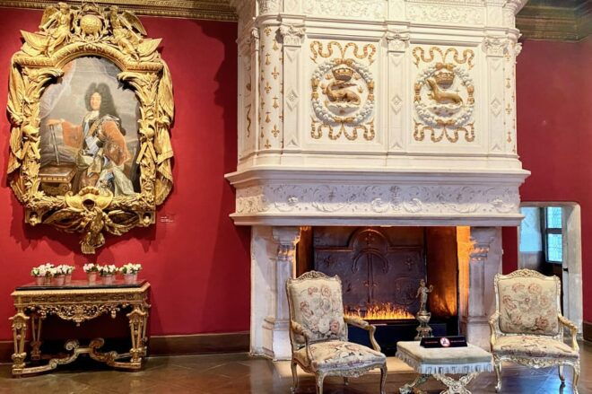 3 Loire Castles Live Guided Small Group by Mercedes Minivan - Wine Tasting Experience