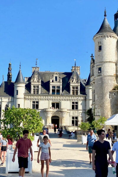3 Loire Castles Live Guided Small Group by Mercedes Minivan - Questions You May Have
