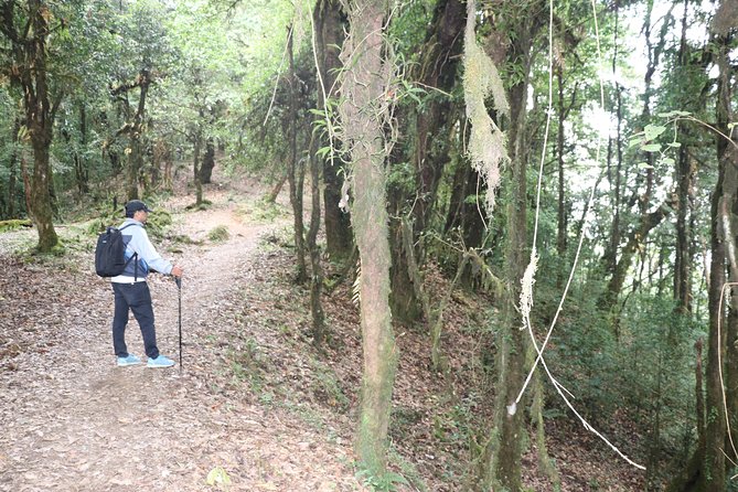 3 Night 4 Days Mardi Himal - Trek Itinerary