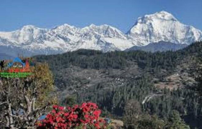 3 Night 4 Days Mohare Danda and Poon Hill Trek From Pokhara. - Detailed Itinerary for the 4-Day Trek
