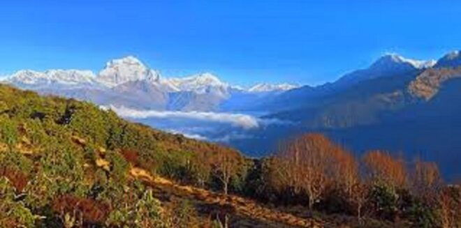 3 Night 4 Days Mohare Danda and Poon Hill Trek From Pokhara. - Important Information and Booking Details