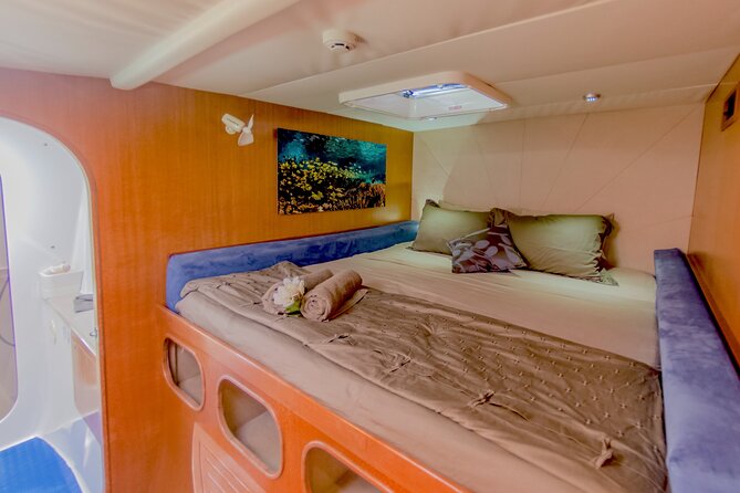 3 Night Ningaloo Reef Snorkel and Dive Getaway From Coral Bay - Inclusions and Activities