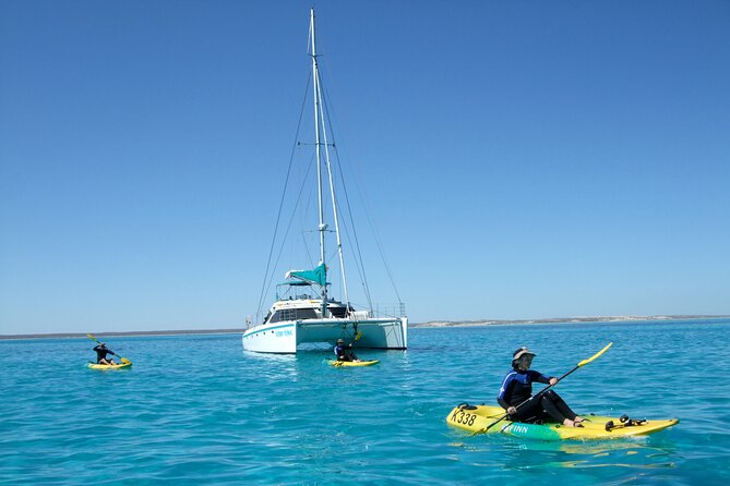 3 Night Ningaloo Reef Snorkel and Dive Getaway From Coral Bay - Booking and Logistics