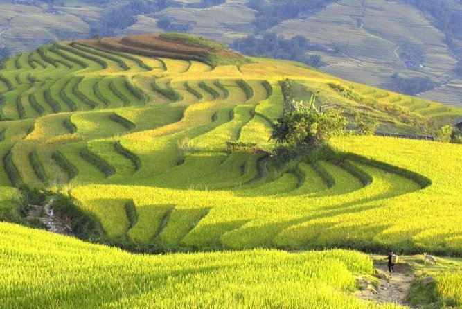 3-Night Sapa Trek and Homestay With Round Trip Transfer From Hanoi - Pricing and Booking