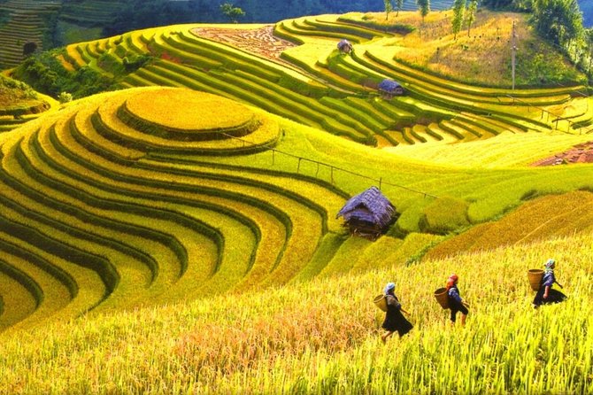 3-Night Sapa Trek and Homestay With Round Trip Transfer From Hanoi - Tour Overview