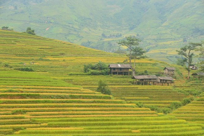 3-Night Sapa Trek and Homestay With Round Trip Transfer From Hanoi - The Sum Up