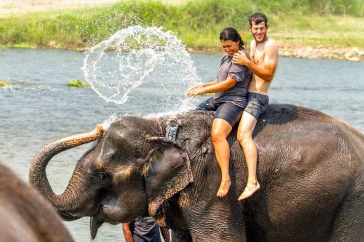 3 Nights 4 Days Chitwan National Park With Tower Night Stay - Accommodation Details