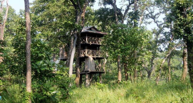 3 Nights 4 Days: Chitwan National Park with Tower Night Stay - Good To Know