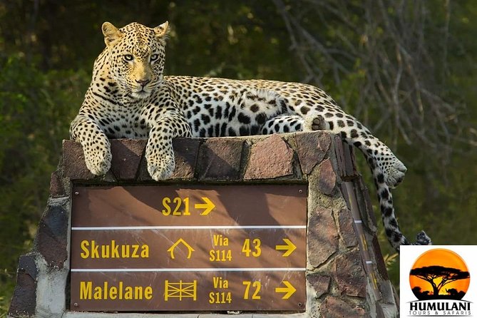 3 Nights 4 Days Kruger via Panorama Overnight Package - Trip Highlights