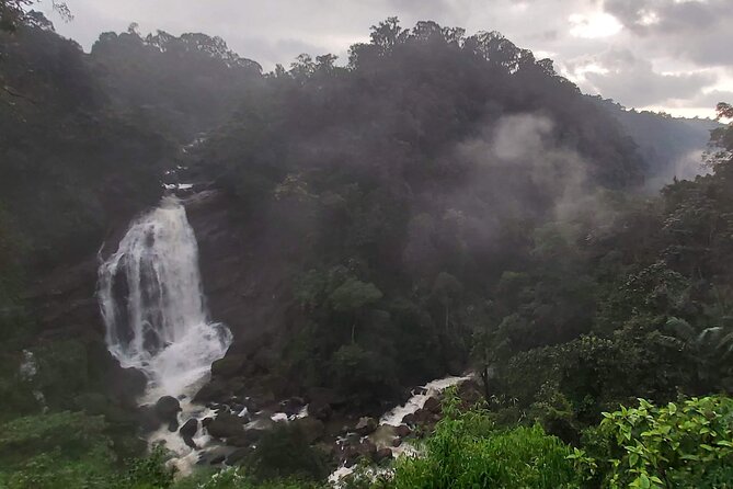 3 Nights 4 Days Munnar Alleppey Private Tour With Exclusive Houseboat Stay - Inclusions and Experiences
