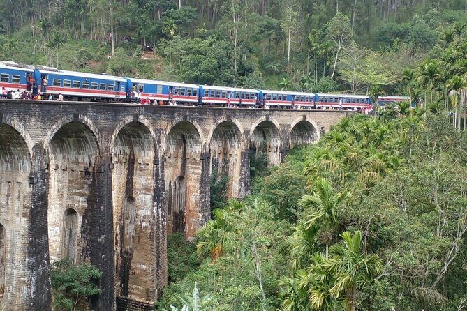 3 Nights 4 Days Private Sri Lanka Safari Tour with Star Hotel - Good To Know