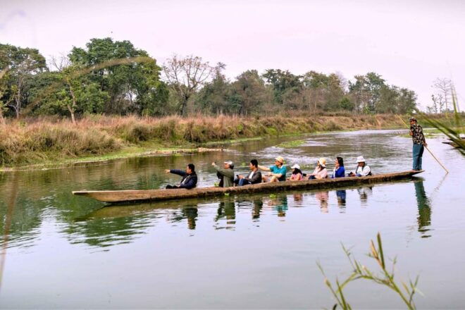3 Nights Chitwan Adventure With 1 Night Jungle Tower Stay - Accommodation Options