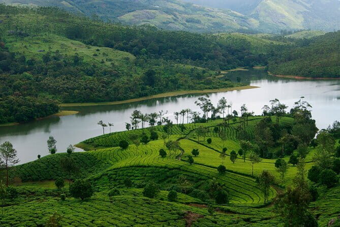 3 Nights Private Kerala Premium Package by Sanguine Holidays - The Journey Through Kerala: What This Tour Offers