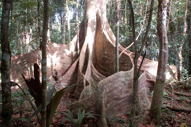 3 or 4-Day All Inclusive Napo Amazon Adventure With Accommodation in Eco Lodge - Important Booking Information