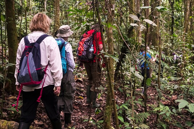 3 or 4-Day All Inclusive Napo Amazon Adventure With Accommodation in Eco Lodge - The Sum Up