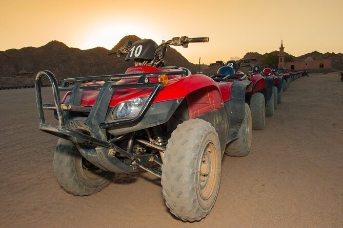 3 Pools National Park by Bus With ATV Quad, Camel Ride and Lunch in Dahab City - Activity Schedule