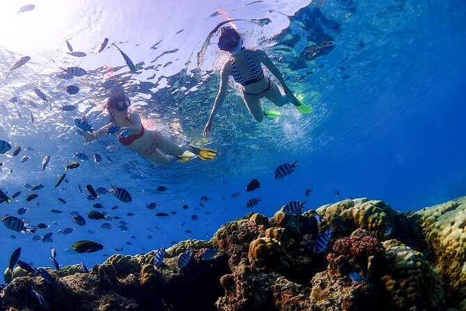 3 Semporna Islands Tour with Snorkel or Diving Experience - The Itinerary Breakdown: What to Expect on Your Day