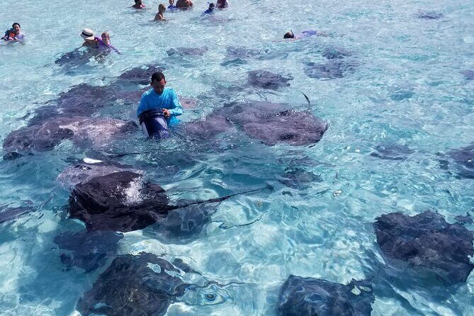 3 Stop Boat Tour Stingray City Coral Gardens and Starfish Point - The Itinerary in Detail