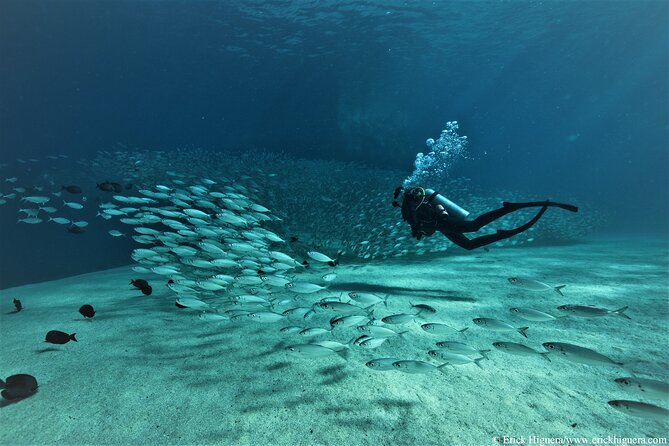 3 Tank Combo Cabo Reserve & Corridor, Certified Divers With MANTA - Diving Sites and Ecosystems