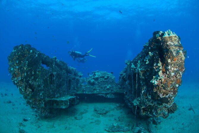 3-Tank Dive Featuring the Molokini Crater - Final Thoughts: Who Is This Tour Best For?