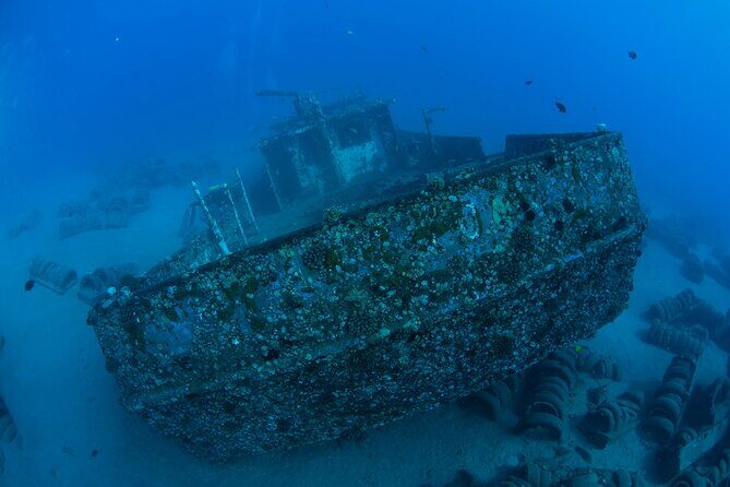 3-Tank Dive Featuring the Molokini Crater - FAQ