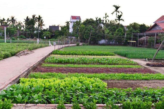 3 Traditional Handicraft Village in 1 Tour - Tra Que Vegetable Village