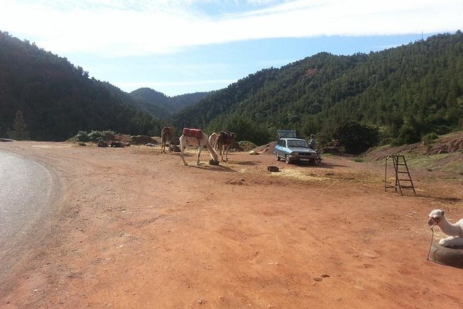 3 Valleys & Atlas Mountains Day Trip From Marrakech - What to Pack