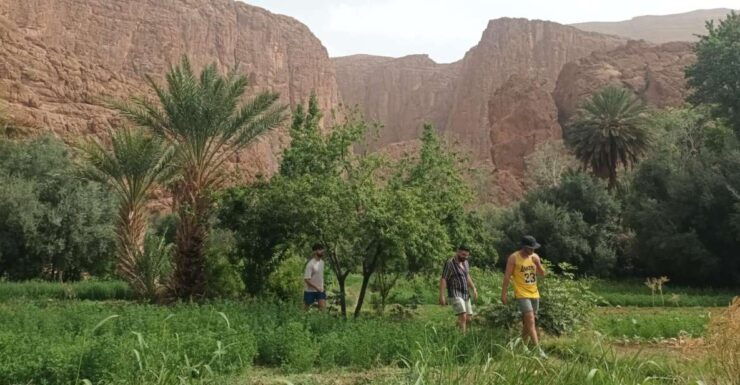 3 Valleys & Berber Villages and Atlas Mountains and - Full Tour Description