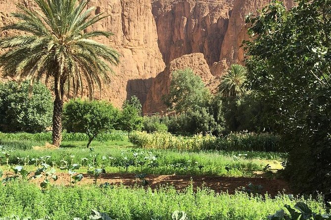 3 Valleys Excursion From Marrakech - Tips and Recommendations