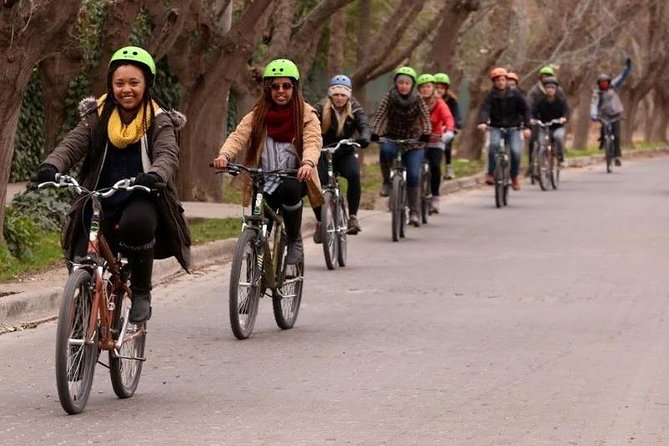 3 Wineries Biking Tour in Chacras De Coria With Lunch - Tour Highlights