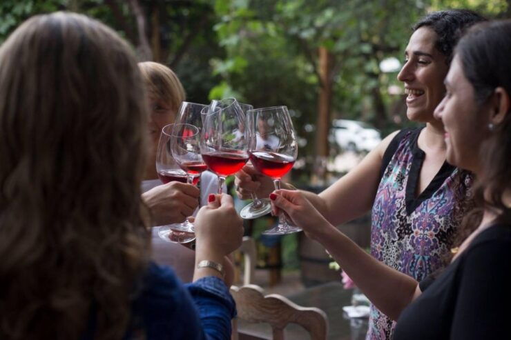 3 Winerieslunch With Unlimited Winetransfer Included - Tour Overview