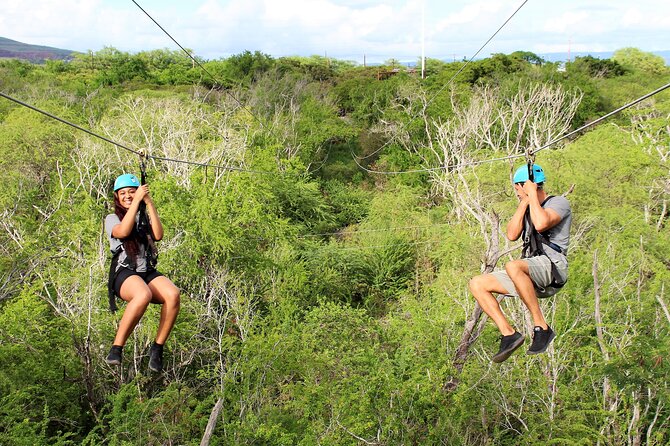 3 Zipline Tour Oahu (1 Hour) - Safety Measures and Guidelines