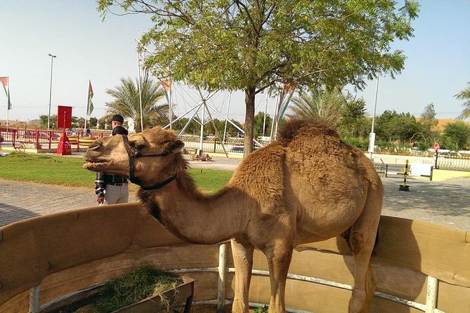 30-Mins Quad Bike Red Dunes Desert Safari & BBQ Dinner - Learn Safety Tips Before Riding