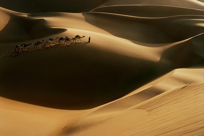 30-Mins Quad Bike Red Dunes Desert Safari & BBQ Dinner - Enjoy BBQ Dinner After the Safari