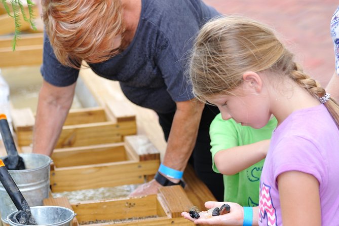 30-Minute Airboat Ride, Lunch, Gem Mining and Park Admission - Common Questions