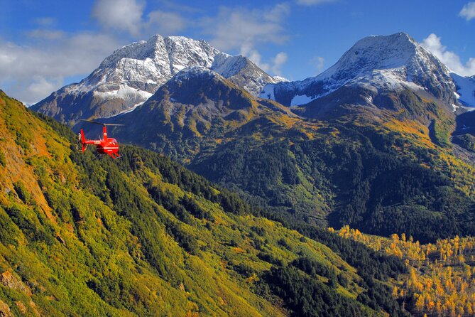 30 Minute Flightseeing Tour From Girdwood - Inclusions and Logistics
