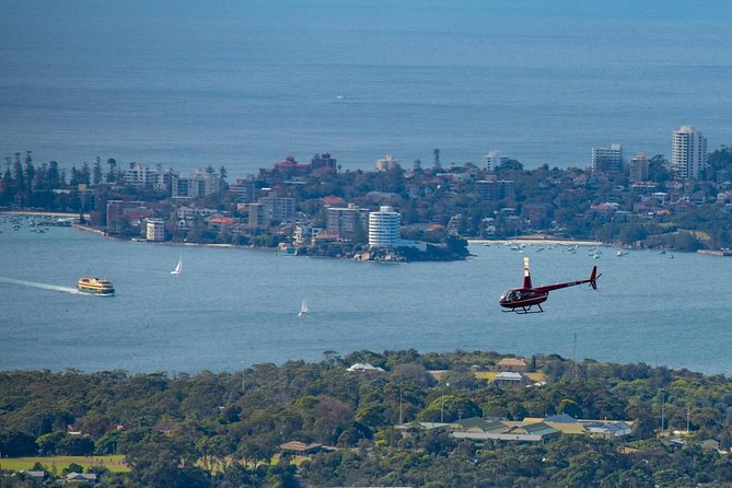 30-Minute Sydney Harbour and Olympic Park Helicopter Tour - Safety Measures and Inclusions