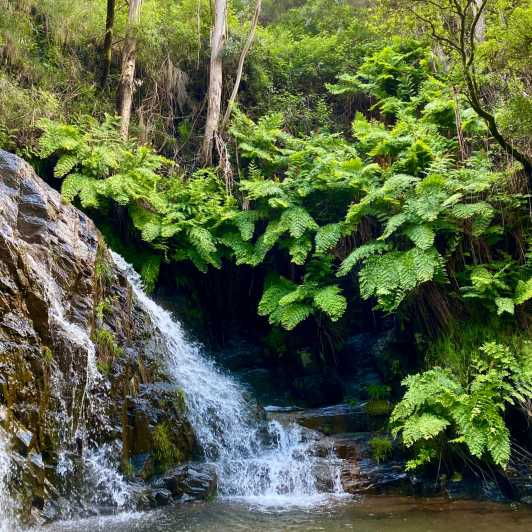 30 Minutes From Porto: Waterfalls, Hiking and Picnic - Good To Know