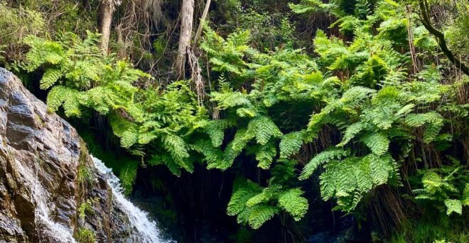 30 Minutes From Porto: Waterfalls, Hiking and Picnic - Group Size and Language