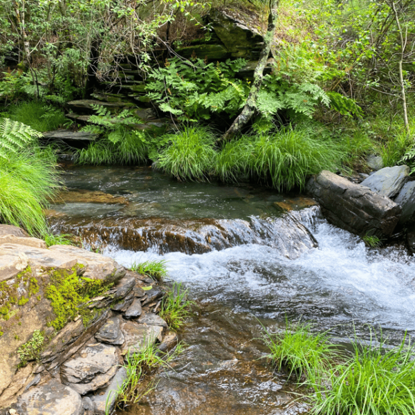 30 Minutes From Porto: Waterfalls, Hiking and Picnic - Meal Preparation in Nature